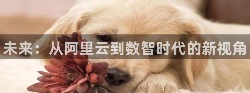 bbin视讯app官网下载：未来：从阿里云到数智时代的新视角