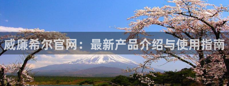 bbin视讯.ccmpc登录：威廉希尔官网：最新产品介绍与使用指南