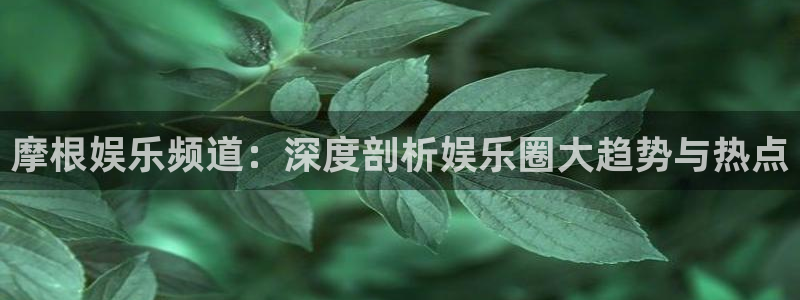 壹号平台下载：摩根娱乐频道：深度剖析娱乐圈大趋势与热点