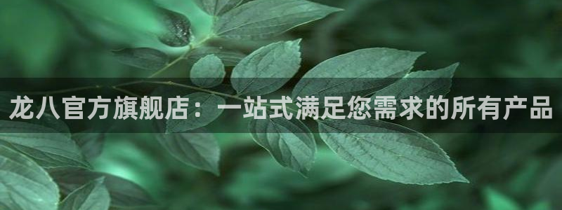 bbin视讯注册官网入口：龙八官方旗舰店：一站式满足您需求的所有产品