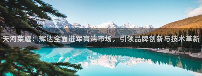 壹号app官网版下载：天河荣耀：辉达全面进军高端市场，引领品牌创新与技术革新