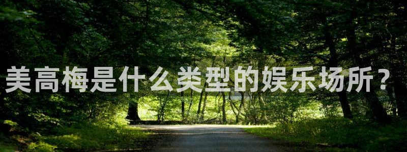 伟德国际集团 壹号(one game)：美高梅是什么类型的娱乐场所？