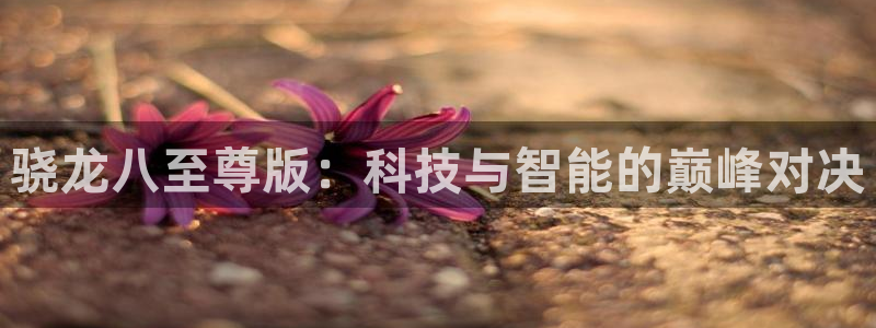 bbin视讯账号注册：骁龙八至尊版：科技与智能的巅峰对决