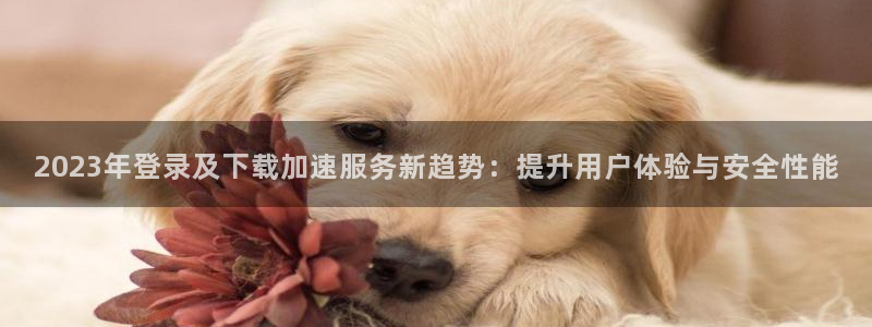 bbin视讯登录网：2023年登录及下载加速服务新趋势：提升用户体验与安全性能