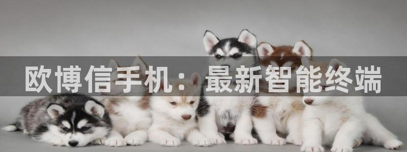 bbin视讯下载：欧博信手机：最新智能终端