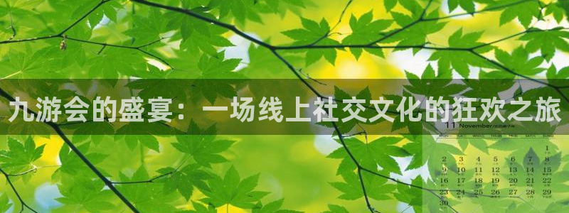 bbin视讯账号注册入口：九游会的盛宴：一场线上社交文化的狂欢之旅