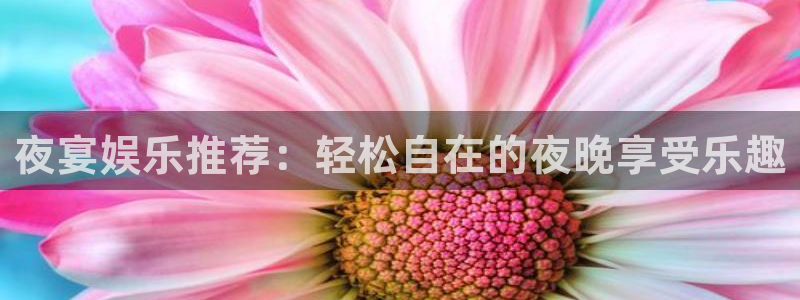 壹号电子娱乐app下载：夜宴娱乐推荐：轻松自在的夜晚享受乐趣
