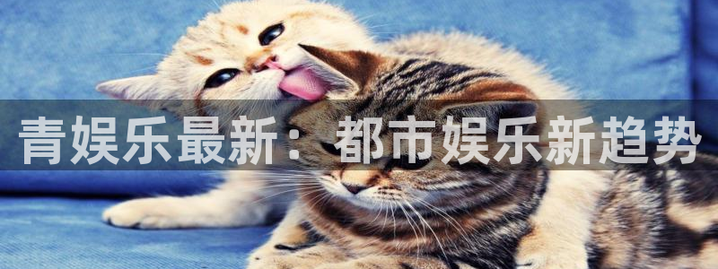 壹号平台下载安装：青娱乐最新：都市娱乐新趋势