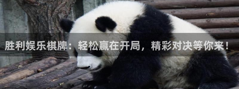 壹号大舞台：胜利娱乐棋牌：轻松赢在开局，精彩对决等你来！