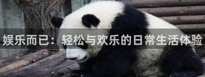 bbin视讯预测pc在线预测网址：娱乐而已：轻松与欢乐的日常生活体验