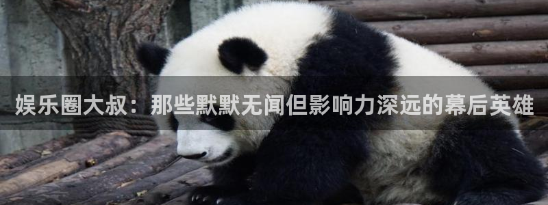 bbin视讯注册链接：娱乐圈大叔：那些默默无闻但影响力深远的幕后英雄