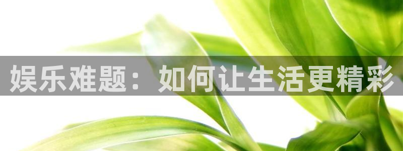 bbin视讯app最新版：娱乐难题：如何让生活更精彩