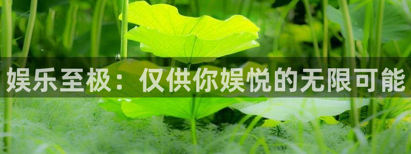 bbin视讯平台最新版本下载：娱乐至极：仅供你娱悦的无限可能