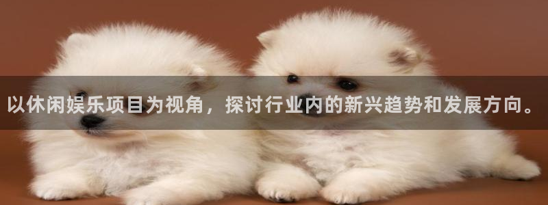 bbin视讯怎么下载：以休闲娱乐项目为视角，探讨行业内的新兴趋势和发展方向。