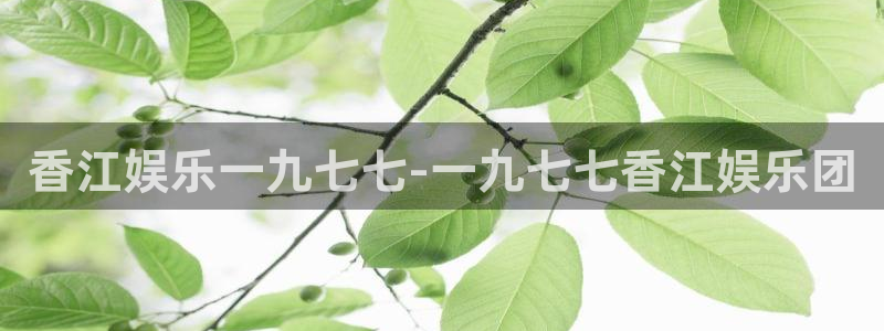bbin视讯ccmpc：香江娱乐一九七七-一九七七香江娱乐团