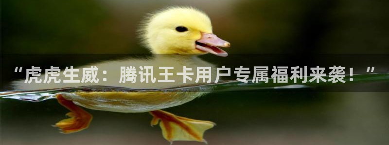 壹号app官网版下载：“虎虎生威：腾讯王卡用户专属福利来袭！”