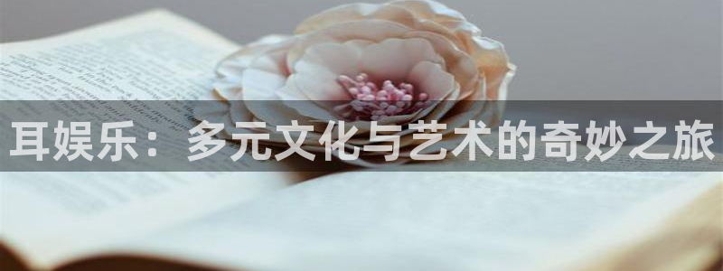 bbin视讯注册平台：耳娱乐：多元文化与艺术的奇妙之旅